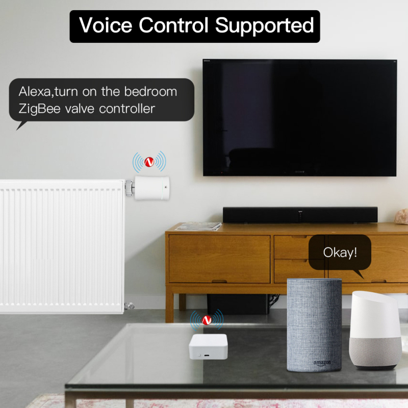Tuya Smart Gateway Hub Multi-m - огляд і ціна Smart Home Hub Matter
