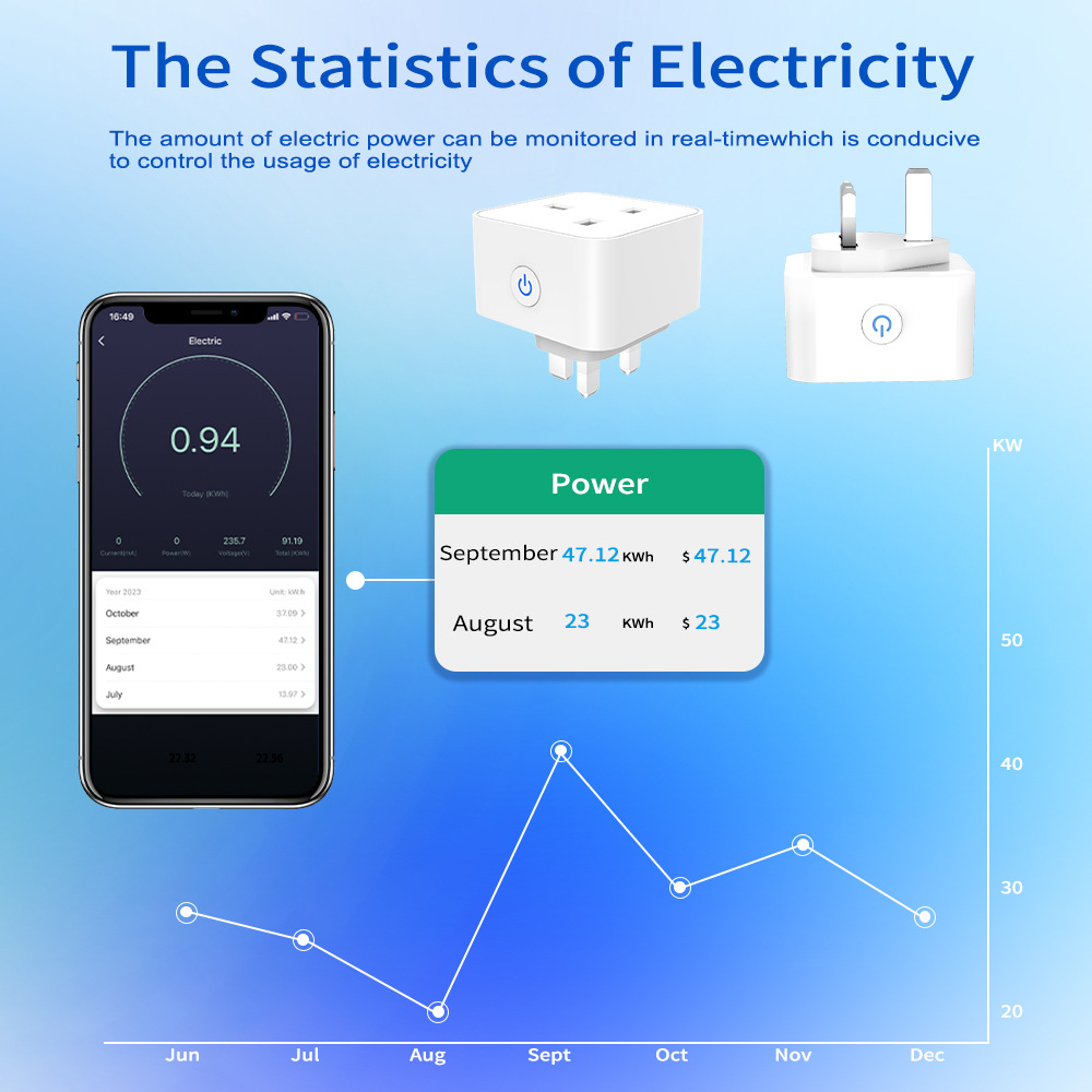 Tuya Smart Socket 16A/20A WiFi - огляд і ціна Smart Home Or Smart Home
