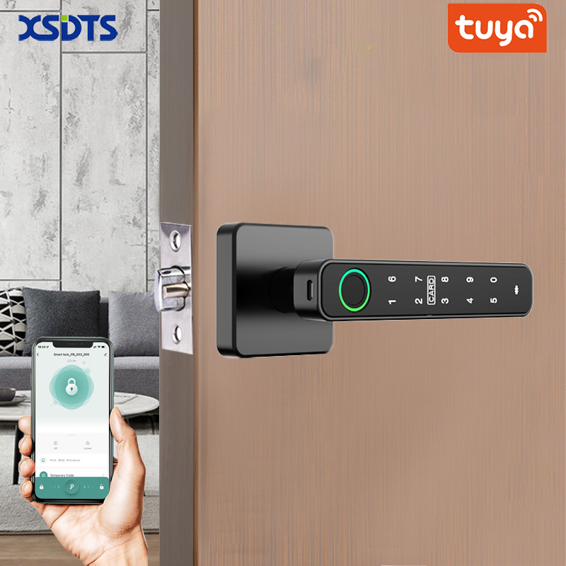 XSDTS Tuya Handle Fingerprint  - огляд і ціна Smart Home Villa