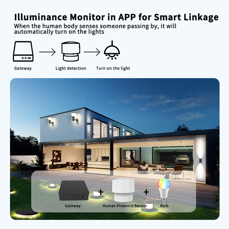 Zigbee or Wi-Fi Human Presence - огляд і ціна Smart Home Or Smart Home