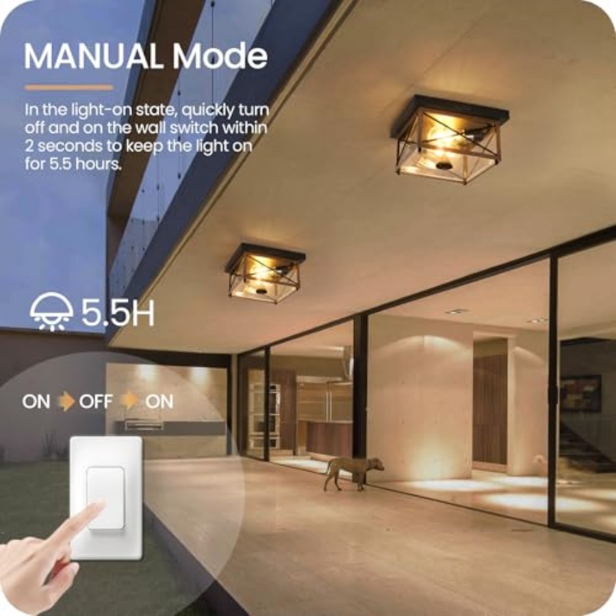 Outdoor Ceiling Light with Mot - огляд і ціна Motion Sensor Light