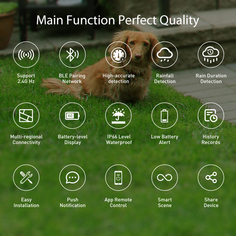 WiFi Rain Sensor Rainfall Dura - огляд і ціна Smart Home Iot
