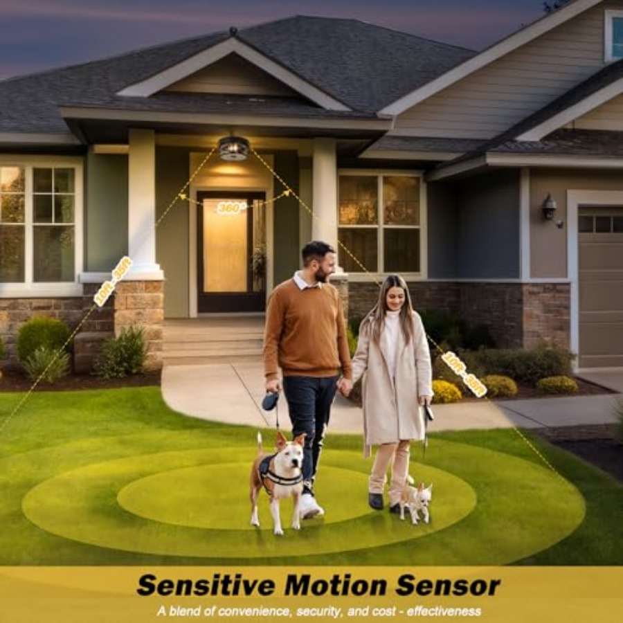 Motion Sensor Outdoor Ceiling  - огляд і ціна Motion Sensor Light