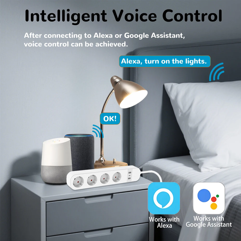 BORUIDAPLS EU Plug WiFi Smart  - огляд і ціна Smart Home Or Smart Home